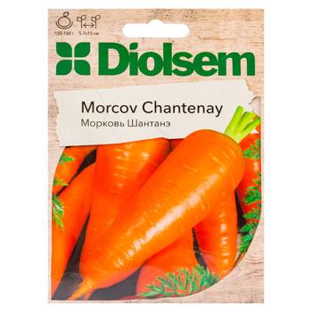 Semințe Diolsem Morcov Chantenay 20g - cumpărați, prețuri pentru BONUS - foto 1