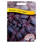 Semințe Diolsem Busuioc violet Opal 3g