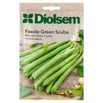 Semințe Diolsem Fasole Green Scuba 20g