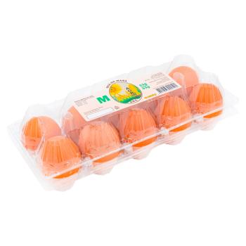 Oua de gaina Aviton Agro 10buc - cumpărați, prețuri pentru BONUS - foto 3