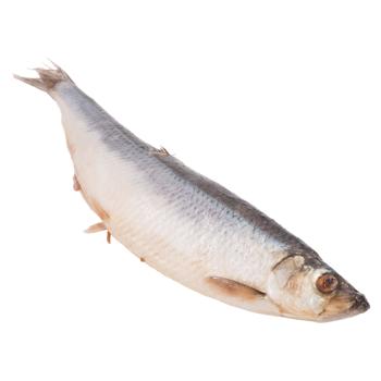 Peste hering Asamblor sarat - cumpărați, prețuri pentru BONUS - foto 2