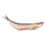 Peste hering Dalmors eviscerat cu condimente