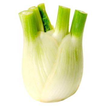 Fenchel Olanda - cumpărați, prețuri pentru BONUS - foto 2