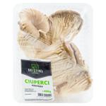 Ciuperci Pleurotus 400g