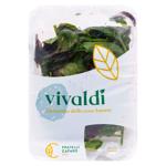 Misticanza Vivaldi Mix Italia 100g