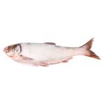 Fitofag curatat cu cap refrigerat