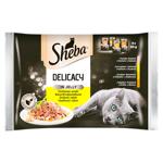 Корм влажный Sheba Delicacy в соусе для кошек 4х85г