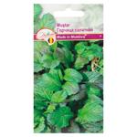 Semințe Diolsem Mustar 2g