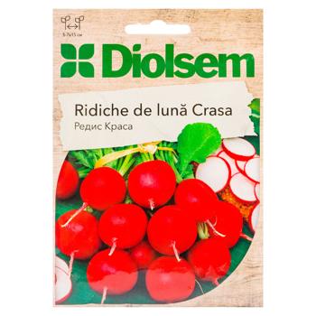Semințe Diolsem Ridiche de luna Crasa 15g - cumpărați, prețuri pentru BONUS - foto 1