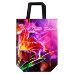 Punga cu desen în sortiment 29*33cm