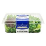 Mix de salate Locarno 100gr MD