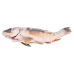 Crap curatat cu cap refrigerat