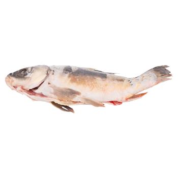 Crap curatat cu cap refrigerat - cumpărați, prețuri pentru BONUS - foto 1