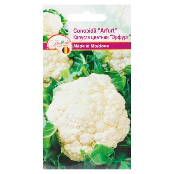 Seminte Diolsem Conopida Arfurt 0.5g - cumpărați, prețuri pentru BONUS - foto 1