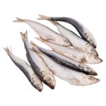 Peste salaca Slavena Lux de Baltica sarata