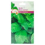 Semințe Diolsem Menta 0.01g