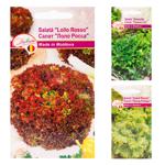 Seminte de plante Diolsem Euro aromatice în sortiment