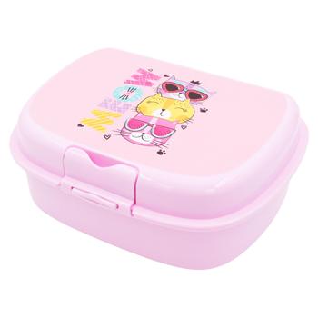 Lunch box EH 18*13*6cm - cumpărați, prețuri pentru BONUS - foto 6