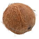 Nuca de cocos Chile