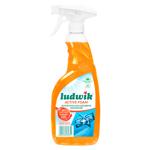 Sol. universal Ludwik 600ml degres.suprafetelor Exotic Fruits