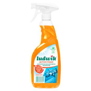 Sol. universal Ludwik 600ml degres.suprafetelor Exotic Fruits - cumpărați, prețuri pentru BONUS - foto 1