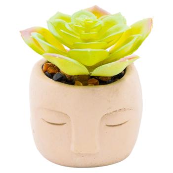 Floare artificiala Suculent in ghiveci 6*8cm - cumpărați, prețuri pentru BONUS - foto 3