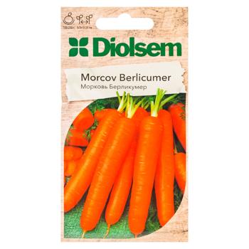 Semințe Diolsem Morcov Berlicumer 2g - cumpărați, prețuri pentru BONUS - foto 1