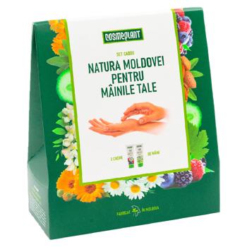 Set p-u maini Cosmeplant Natura Moldovei - cumpărați, prețuri pentru BONUS - foto 3
