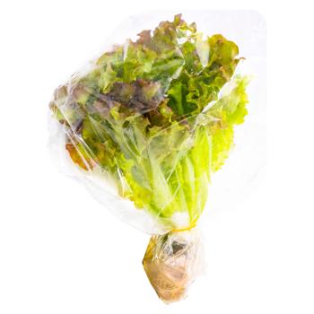 Salata Red Batavia 140g - cumpărați, prețuri pentru BONUS - foto 1