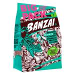 Seminte de foarea soarelui Banzai pestrite cu sare 165g