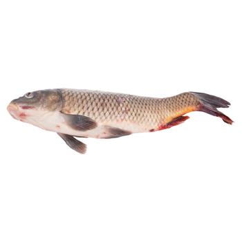 Карп охлажденный - купить, цены на BONUS - фото 1