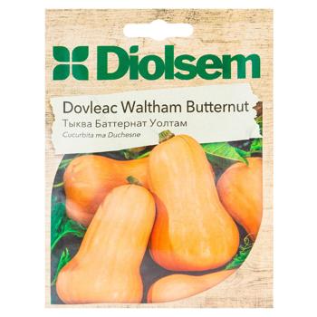 Semințe Diolsem Dovleac Waltham Butternut 10g - cumpărați, prețuri pentru BONUS - foto 1