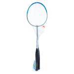 Set palete si fluturas pentru badminton 63cm