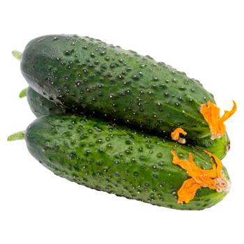 Castraveti cornison - cumpărați, prețuri pentru BONUS - foto 3