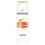 Sampon Pantene Infinite Lengths 300ml