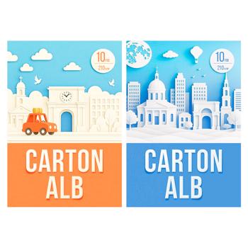 SET CARTON ALB 10 FOI A4 - cumpărați, prețuri pentru METRO - foto 1