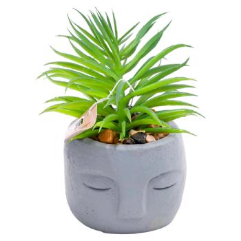 Floare artificiala Suculent in ghiveci 6*8cm - cumpărați, prețuri pentru BONUS - foto 4