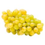 Struguri Muscat albi