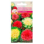 Semințe Diolsem Varză ornamentală Amestec 0.1g