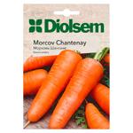 Semințe Diolsem Morcov Chantenay 20g