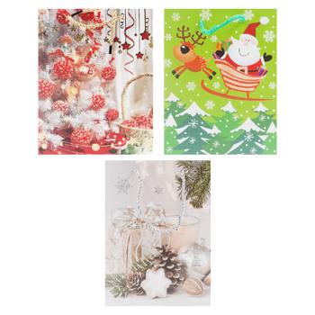 Пакет подарочный картон 25*18см - купить, цены на BONUS - фото 1