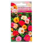 Seminte flori Diolsem Euro în sortiment 0,3g