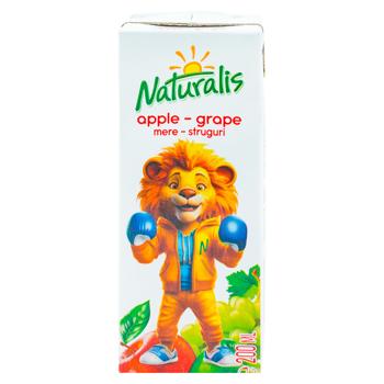 Nectar Naturalis Mere-struguri 200ml - cumpărați, prețuri pentru BONUS - foto 2