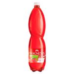 Bautura carbogazoasa Magnesia Capsuna 1.5l