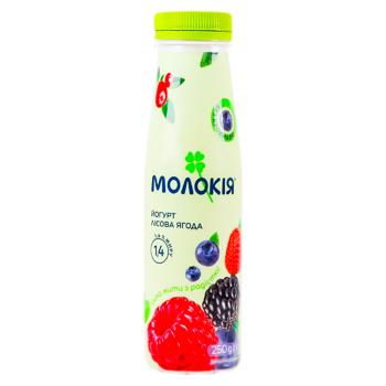 Йогурт Молокия Лесная ягода 250г - купить, цены на BONUS - фото 1