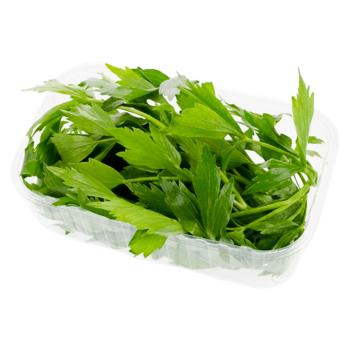 Leustean Fresh for You 50g - cumpărați, prețuri pentru BONUS - foto 1