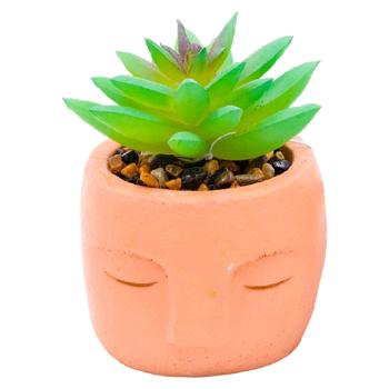 Floare artificiala Suculent in ghiveci 6*8cm - cumpărați, prețuri pentru BONUS - foto 2