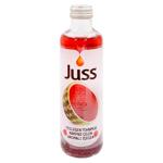 Bautura Juss pepene/capsuni 250ml