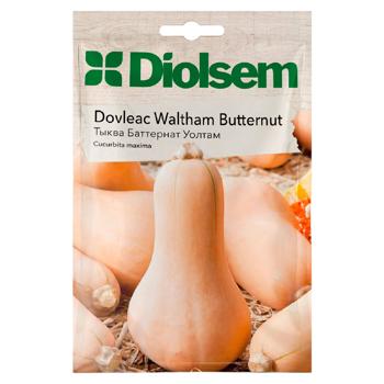 Semințe Diolsem Dovleac Butternut Violina 10g - cumpărați, prețuri pentru BONUS - foto 1