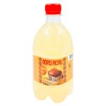 Bors acru De casa 0.5l